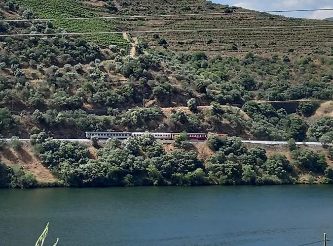 Casa Do Olival וילה פלור